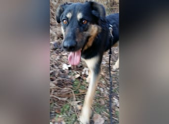 Olivia, Schönheit sucht eigenes Körbchen zum Bleiben