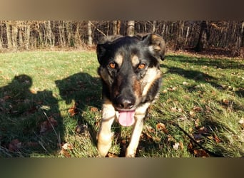 Olivia, Schönheit sucht eigenes Körbchen zum Bleiben