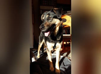 Olivia, Schönheit sucht eigenes Körbchen zum Bleiben