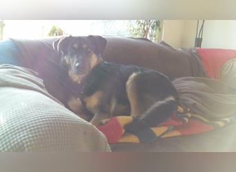 Olivia, Schönheit sucht eigenes Körbchen zum Bleiben