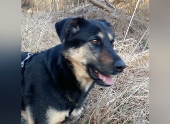 Olivia, Schönheit sucht eigenes Körbchen zum Bleiben