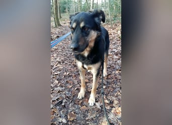 Olivia, Schönheit sucht eigenes Körbchen zum Bleiben