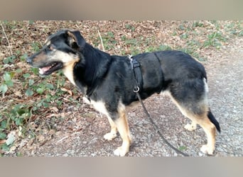 Olivia, Schönheit sucht eigenes Körbchen zum Bleiben