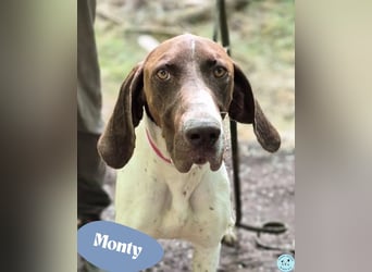 Monty - freundlich, menschenbezogen