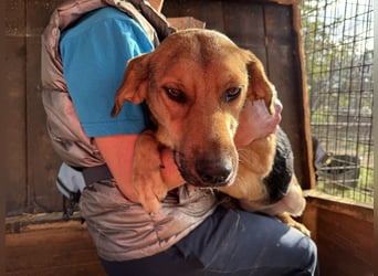 ♥VITA♥ sehr zutrauliche, liebe, neugierige Schmusebacke 52 cm