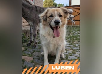 Luben