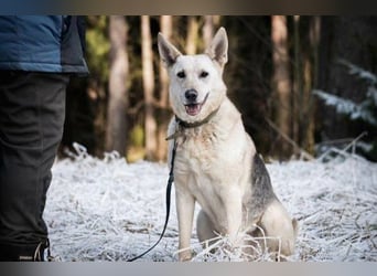 Kumi ❤️ sehnt sich nach ihren Herzensmenschen