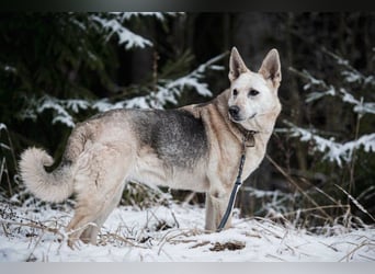 Kumi ❤️ sehnt sich nach ihren Herzensmenschen