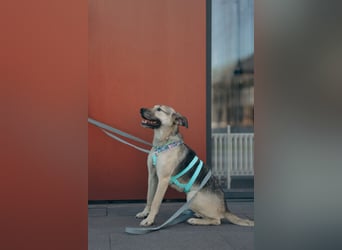 Esmi ❤️ sanfte Seele sucht geduldige Herzensmenschen