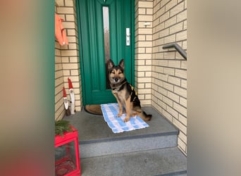 Garry ❤️ wenn Vertrauen Zeit braucht