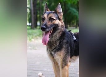 Garry ❤️ wenn Vertrauen Zeit braucht