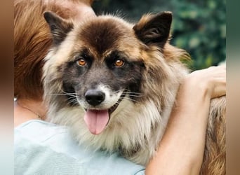 Alma sucht ihren Herzensmenschen  ❤️ klug, treu und voller Liebe