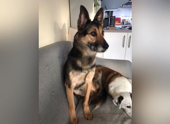 Garry ❤️ wenn Vertrauen Zeit braucht