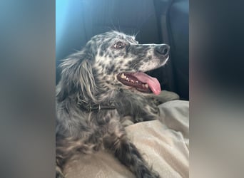 Cora❤️ liebevolle Begleiterin sucht ihr Glück
