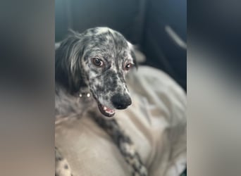 Cora❤️ liebevolle Begleiterin sucht ihr Glück