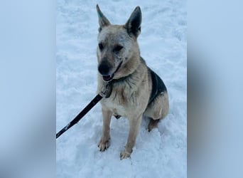 Kumi ❤️ sehnt sich nach ihren Herzensmenschen