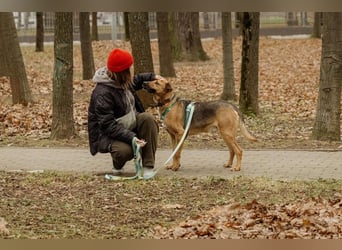 Anhänglicher Tierschutzrüde Mars ❤️ sucht ruhiges Zuhause