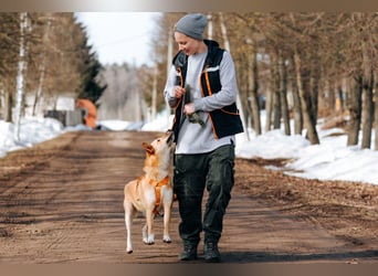 Dunya ❤️ Fröhliche Junghündin sucht ein liebevolles Zuhause