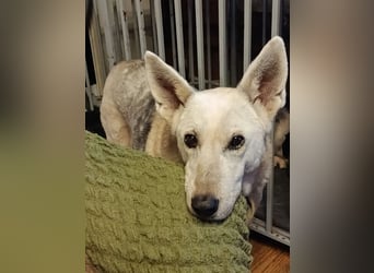 Kumi ❤️ sehnt sich nach ihren Herzensmenschen