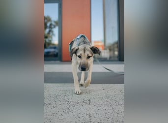 Esmi ❤️ sanfte Seele sucht geduldige Herzensmenschen