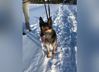 Garry ❤️ wenn Vertrauen Zeit braucht