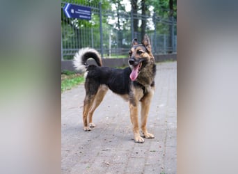 Garry ❤️ wenn Vertrauen Zeit braucht