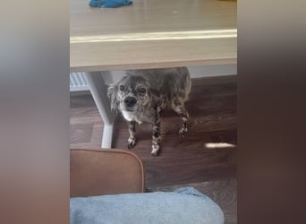 Cora❤️ liebevolle Begleiterin sucht ihr Glück