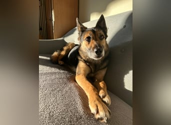 Garry ❤️ wenn Vertrauen Zeit braucht