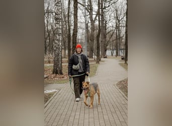 Anhänglicher Tierschutzrüde Mars ❤️ sucht ruhiges Zuhause