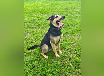 Verspielter und lebensfroher Lucky ❤️ sucht seine zweite Chance