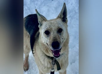 Kumi ❤️ sehnt sich nach ihren Herzensmenschen