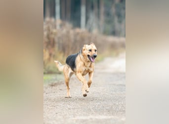 Pika ❤️ sucht ihr Für-Immer-Zuhause