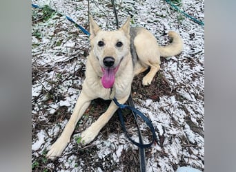 Kumi ❤️ sehnt sich nach ihren Herzensmenschen