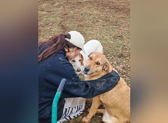 Liebevolle ANGELA sucht Familie ❤️