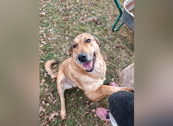 Liebevolle ANGELA sucht Familie ❤️