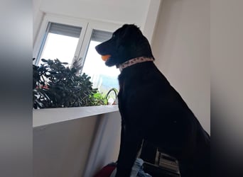 Sportliche Rosie sucht ihr Glück ❤️