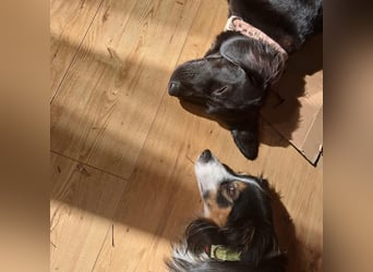 Sportliche Rosie sucht ihr Glück ❤️