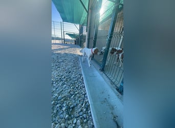 Liebevolle Sunny sucht ihr Glück ❤️