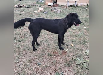 Sportliche Rosie sucht ihr Glück ❤️