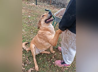 Liebevolle ANGELA sucht Familie ❤️