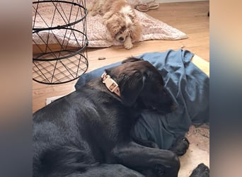 Sportliche Rosie sucht ihr Glück ❤️