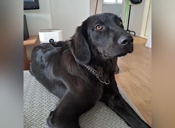 Sportliche Rosie sucht ihr Glück ❤️