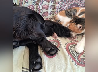 Sportliche Rosie sucht ihr Glück ❤️