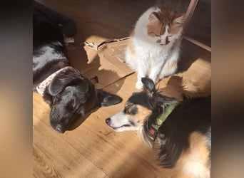 Sportliche Rosie sucht ihr Glück ❤️