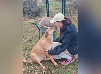 Liebevolle ANGELA sucht Familie ❤️