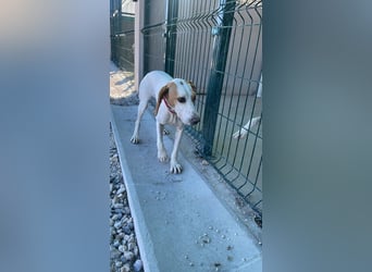 Liebevolle Sunny sucht ihr Glück ❤️