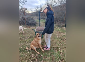 Liebevolle ANGELA sucht Familie ❤️