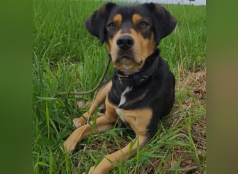 ZAKO sucht sein forever Home ❤️