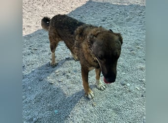 Paulina sucht ihre Herzmenschen ❤️
