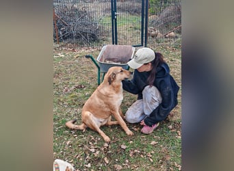 Liebevolle ANGELA sucht Familie ❤️